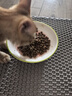 麦富迪猫粮 超肉粒冻干双拼幼猫粮免疫护肠胃 三文鱼2kg 实拍图