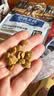 伯纳天纯老年挚护系列全价小型犬老年期犬粮12岁+1.5kg/包 实拍图