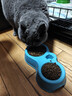 网易严选全价猫粮4.0 成幼猫三文鱼亮毛护肠胃深海鱼虾味10kg【宠物金选】 实拍图