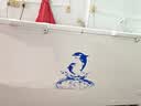 澳柯玛（AUCMA）560升家用单温冷柜 大容量冰柜 卧式囤货大冰箱 冷藏冷冻转换顶开门冷柜 BC/BD-560TC 以旧换新 实拍图