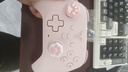 飞智沙漠狐 暮光粉 多模版无线游戏手柄 类xbox霍尔扳机switch电脑PC手机steamNS 星露谷物语原神仁王3 实拍图