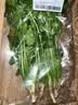 带根香菜100g 实拍图