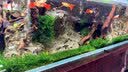 鱼呼吸鱼缸底吸变频潜水泵 YHX-057-23W 假山池低循环抽水小型吸粪器 实拍图