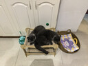 LEGENDSANDY蓝氏猎鸟乳鸽生骨肉冻干猫粮 全价成猫幼猫猫粮 盒装4.5kg 实拍图