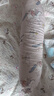 babycare婴儿安抚枕头宝宝多功能睡觉透气软糖枕0-6岁梦境独角兽40*12CM 实拍图