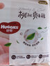 好奇（Huggies）铂金装小桃裤纸尿裤L76片(9-14kg)大号尿不湿【夏季散热王】 实拍图