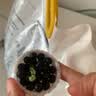 仓天然东北有机黑豆绿芯5斤新货高蛋白打豆浆发豆芽专用农家五谷杂粮 实拍图