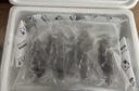 鲜京采大连即食海参1斤 8-10只 升级固形物超75%【京东自有品牌】 实拍图