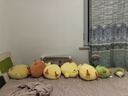 名创优品（MINISO）墩墩鸡11寸蔬菜鸡公仔dundun鸡毛绒玩具玩偶抱枕生日礼物女 25cm 实拍图