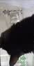 皇后的猫宠物排毛冻干车前子角蛋白酶排毛晶球颗粒长毛猫舔毛猫狗 月度装 1盒 90颗 + 送1袋试吃装 【本产品由PICC中国人保承保】 实拍图