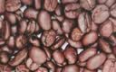 sinloy/辛鹿 意式拼配 香醇浓郁低酸 阿拉比卡 云南小粒咖啡豆500g 实拍图