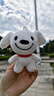 JOY&DOGA（mini款）毛绒玩具吉祥物公仔小狗毛绒玩偶摆件纪念品JOY站姿 实拍图