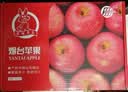 京鲜生烟台红富士苹果 净重5斤/12粒 单果190-240g 生鲜水果 实拍图
