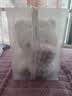 樱花兔玉桂狗玩偶公仔毛绒玩具布娃娃七夕情人节女孩生日礼物女生送女友 40cm 玉桂狗+礼盒装+星星灯+花束 实拍图