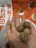 十月稻田 桂圆干 500g 带壳桂圆肉 龙眼肉干 枸杞红枣泡茶八宝粥 零食干货 实拍图