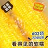 东北农嫂糯玉米穗 糯玉米段 软糯香 吉林原产 真空玉米 低脂粗粮 【精选大棒】黄糯玉米礼盒2.5kg 约8根 实拍图
