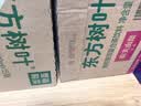 农夫山泉东方树叶绿茶500ml*15瓶无糖茶饮料0糖0脂0卡整箱装饮品 实拍图