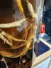 不老潭纯粮食酒固态发酵散装白酒高粱酒高度浓香型白酒桶装泡酒白酒 52度 5L 1桶 高粱原浆 实拍图