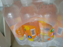 依能 日向夏橘味苏打水 无糖无汽弱碱 0脂饮料 500ml*24瓶 塑膜装 实拍图