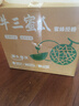 京鲜生 宁夏蜜蜂授粉牛三网纹瓜 单果1.5斤起 净重6-7斤 2-3粒 源头直发 实拍图