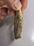 三只松鼠原味黄鱼酥250g  吮指香酥小黄鱼海味休闲追剧零食小吃 实拍图