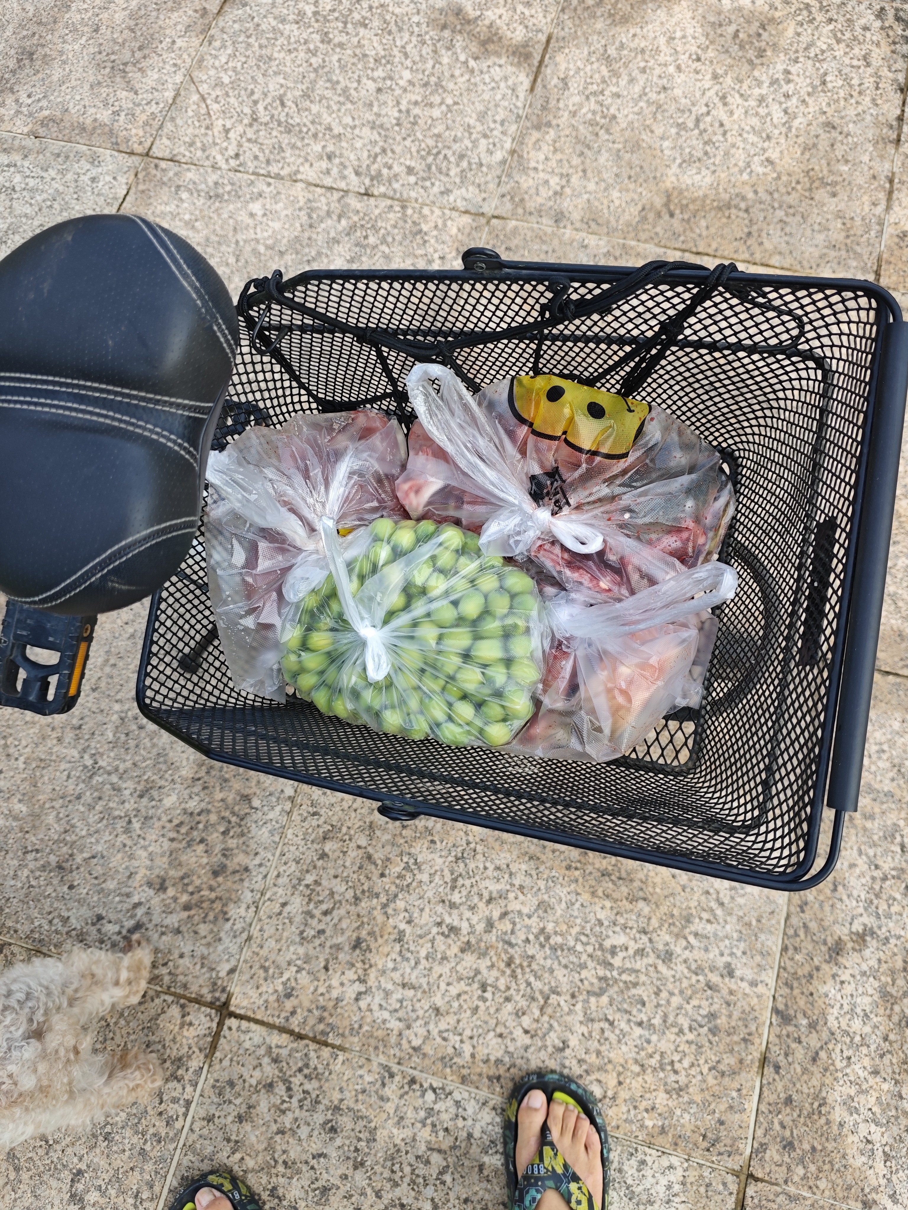 都丰年麻酱鸡蛋48g*20枚天津蓟州特产卤蛋早餐即食源头直发 实拍图