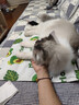愛肯拿（ACANA）猫粮 海洋盛宴成猫幼猫粮 全价美毛无谷进口鱼肉粮1.8kg效期27/4 实拍图