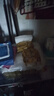 清风【李昀锐同款】抽纸 金装3层100抽*24包S码 餐巾纸抽卫生纸 整箱 实拍图