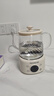 九阳（Joyoung）养生壶迷你家用全玻璃煮茶器 轻音炖煮办公室0金属0胶水恒温冲奶800W大功率烧水壶WY-PR2105（1L） 实拍图