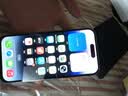 【已验机】苹果14pro Apple iPhone 14Pro 苹果14Pro二手 苹果手机5G手机 【下方看报告自行选择颜色】 128G 国行双卡5G【赠送豪华大礼包】 实拍图