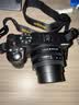尼康Z30入门级 Vlog自拍旅游高清照相机 拍鸟 出游 高性价比 轻便 微单相机  Z30(16-50 50-250)双镜头套机 标配【送赠品礼包1】/礼包2需下单备注 实拍图