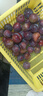 正宗四川小脆红 脆红李子 新鲜应季时令水果李子 新鲜尝鲜包邮 带箱2斤  单果12g+ 实拍图