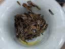 八马茶业武夷红茶 特级金骏眉花果蜜香250g金马罐装 送礼袋 实拍图