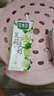 豆本豆茉莉豆奶250ml*20盒整箱.21g植物蛋白饮料营养儿童学生早餐奶礼盒 实拍图