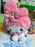 名创优品（MINISO）三丽鸥美乐蒂玫瑰之约公仔玩偶儿童玩具抱枕生日七夕节礼物送女友 晒单实拍图