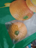安井慕斯蛋奶橘子包350g*2 共20只 面点卡通甜包儿童早餐速冻半成品 实拍图
