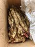 京地达山东带泥红芽嫩姜仔姜净重9斤单果50g+醋泡嫩姜源头直发包邮 实拍图