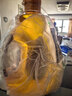 亚麻公社特级亚麻籽油1.8L 冷榨初榨亚麻油 胡麻油 含omega3可炒菜食用油 实拍图