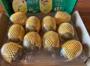 佳沛（zespri）新西兰阳光金奇异果10粒巨大果单果146-175g 猕猴桃水果礼盒 实拍图