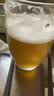 青岛啤酒【青岛一厂原浆】青岛原浆啤酒7天鲜活精酿13度1L*2瓶/4瓶 礼盒装 原浆 5L 1桶 实拍图