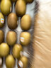 佳沛（zespri）新西兰阳光金奇异果巨大果22粒原箱单果146-175g 猕猴桃水果礼盒 实拍图