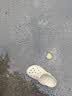 卡骆驰（CROCS）【采销直播】贝雅洞洞鞋男鞋女鞋轻便休闲鞋|10126 卵石色-2V3 36 /37(220mm) 实拍图
