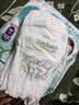 帮宝适（Pampers）清新帮透氧Pro婴儿拉拉裤纸尿 裤尿不湿学行训练裤超柔透气 拉拉裤XL共84片【整箱2包】 实拍图