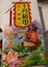 十月稻田 芡实 400g  圆粒红皮鸡头米 鸡头果 五谷杂粮粗粮 炖汤煲粥材料 实拍图