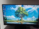 泰坦军团24.5英寸 260Hz高刷 HDR400广色域 逐台校色FastIPS窄边框 PS5原生240Hz电竞显示器P2510H PLUS 实拍图
