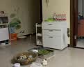 甜浪海猫咪不锈钢特大号猫砂盆围栏开放式防外溅巨型厕所加高带盖不粘底 实拍图