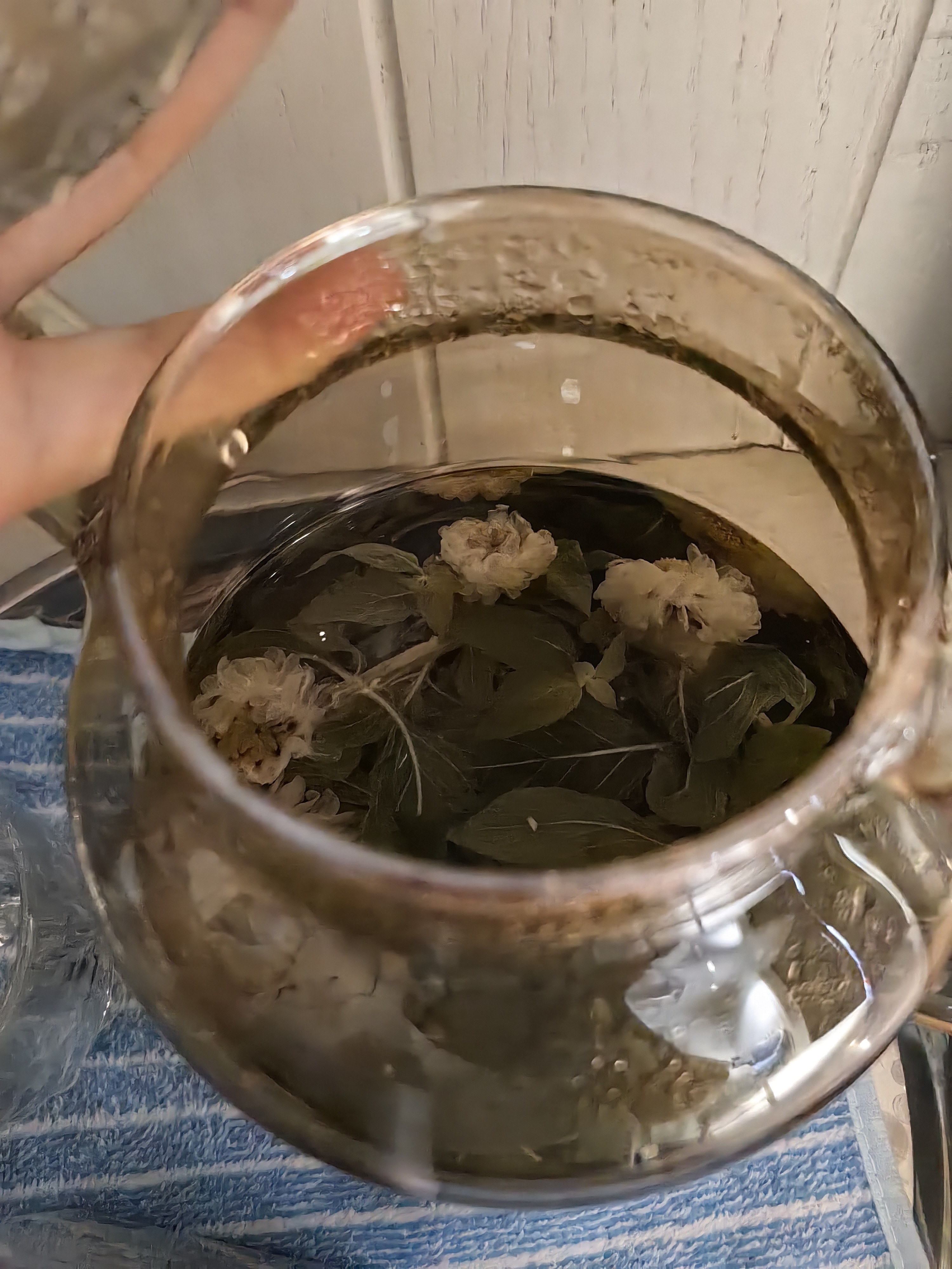 贡苑【桐乡原产地标认证】杭白菊花茶60g 特优不熏硫级搭柠檬胎菊茶叶 实拍图
