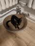 疯狂的主人 猫抓板窝特大号猫玩具猫爪板猫抓盆不掉屑猫窝碗形圆形瓦楞纸 实拍图