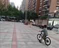 凤凰官方旗舰店儿童自行车男女变速青少年学生山地车碟刹赛车 星际 蓝灰【单速】辐条轮 20寸【适合125-160cm】 实拍图