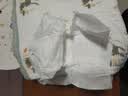 茵茵【未检出甲酰胺】元気小精灵婴儿纸尿裤新生儿宝宝尿不湿S码60片 实拍图